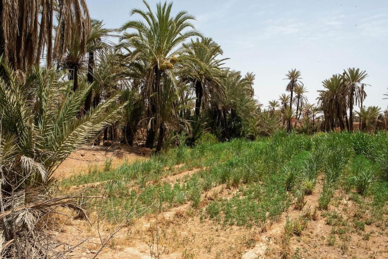 Maison Etoile Du Desert Aït Boukha Eksteriør billede