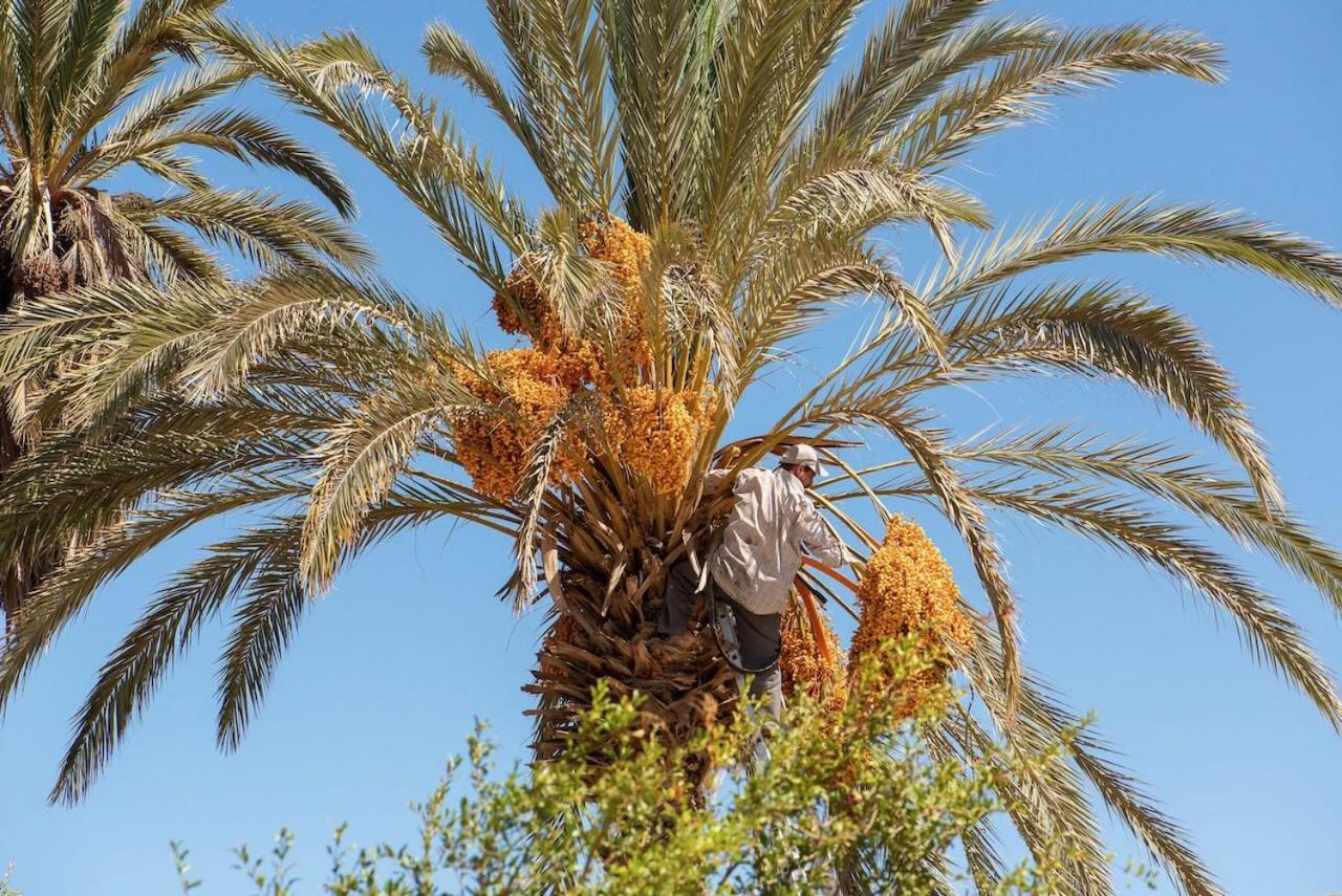 Maison Etoile Du Desert Aït Boukha Eksteriør billede